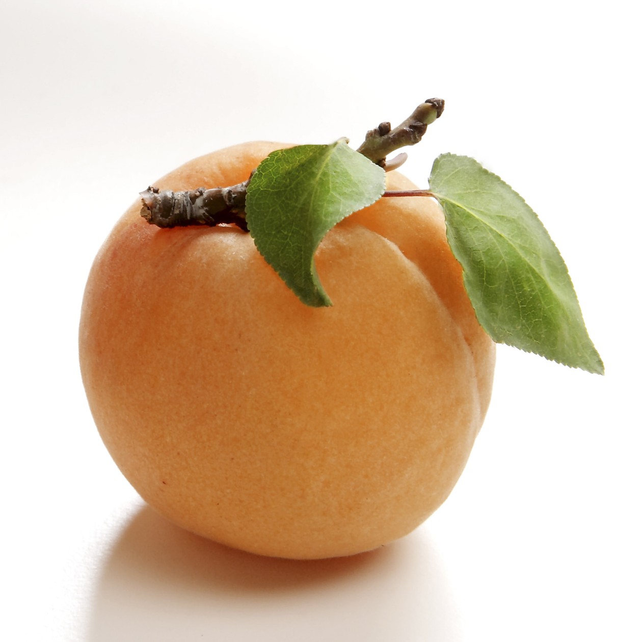 Fotografia food e still life - Davide Cerati Fotografia (35)