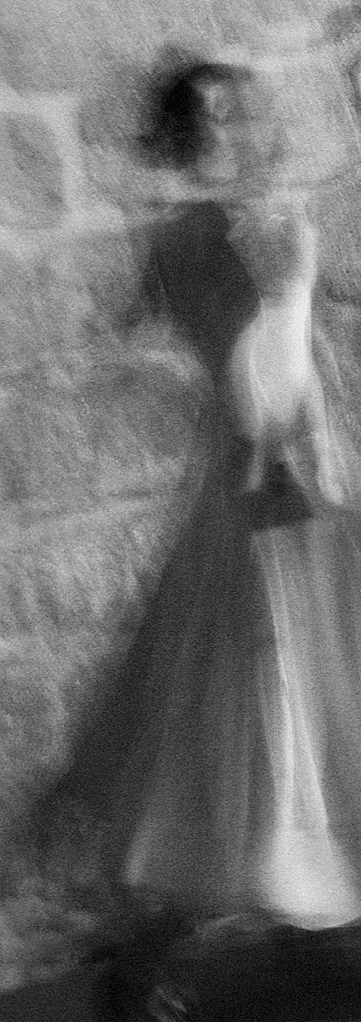 Fine art - Davide Cerati Fotografia (13)