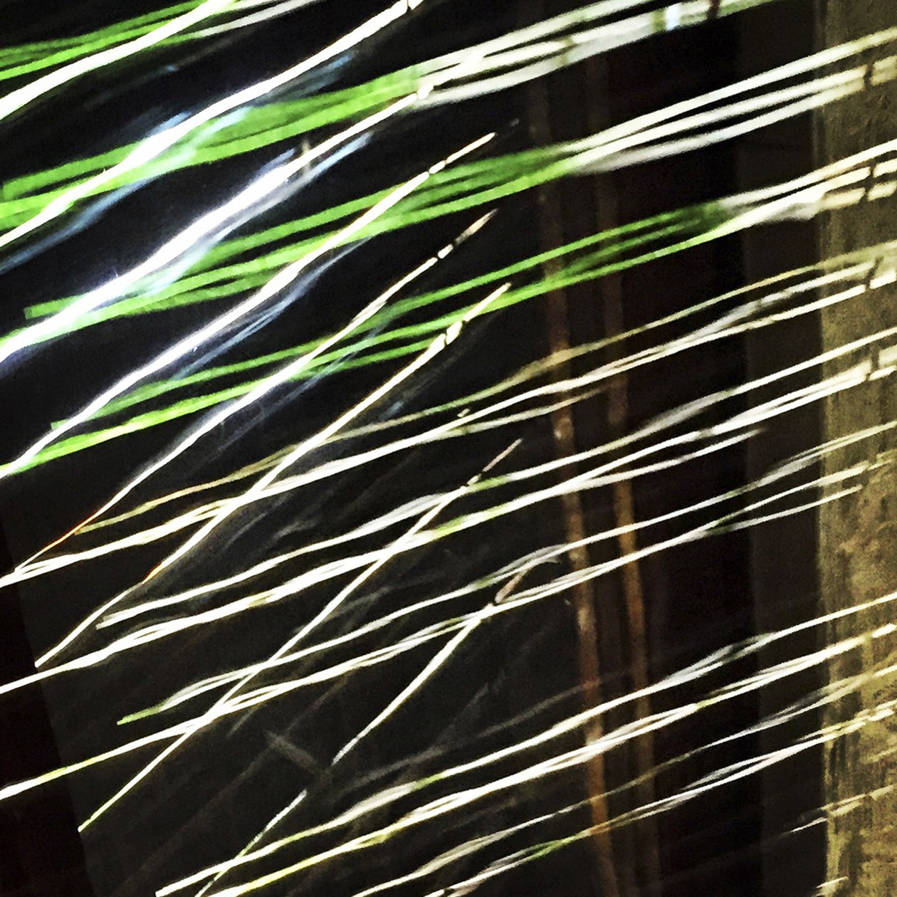 Fine art - Davide Cerati Fotografia (29)